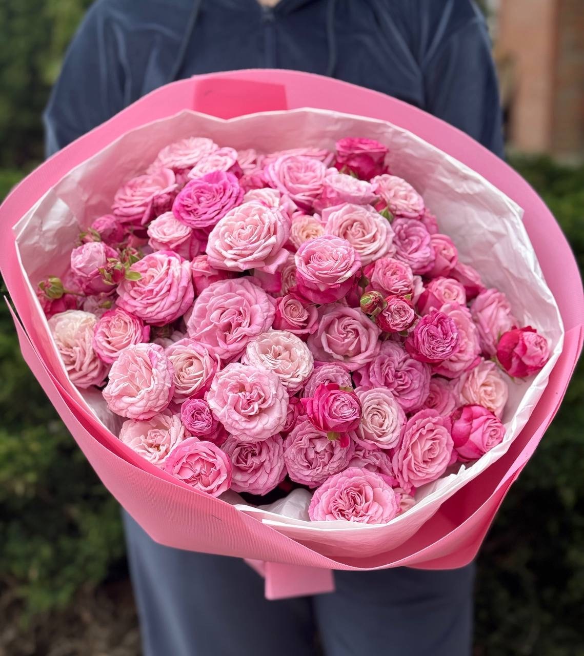 39 pfingstrosenartige Rosen Lady Bombastic
