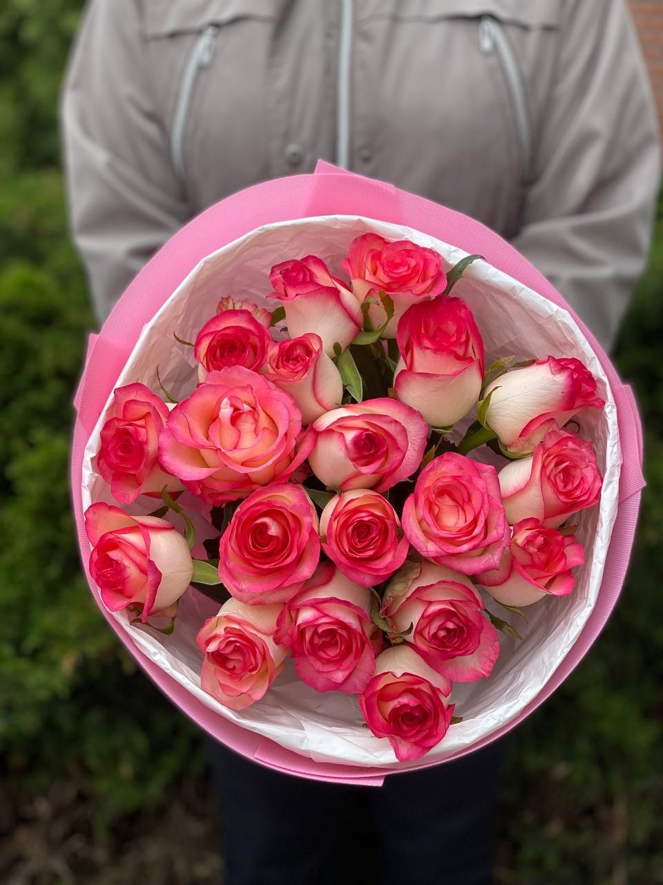 19 Rosen Jumilia
