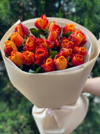 19 Rosen Hollandia Orange