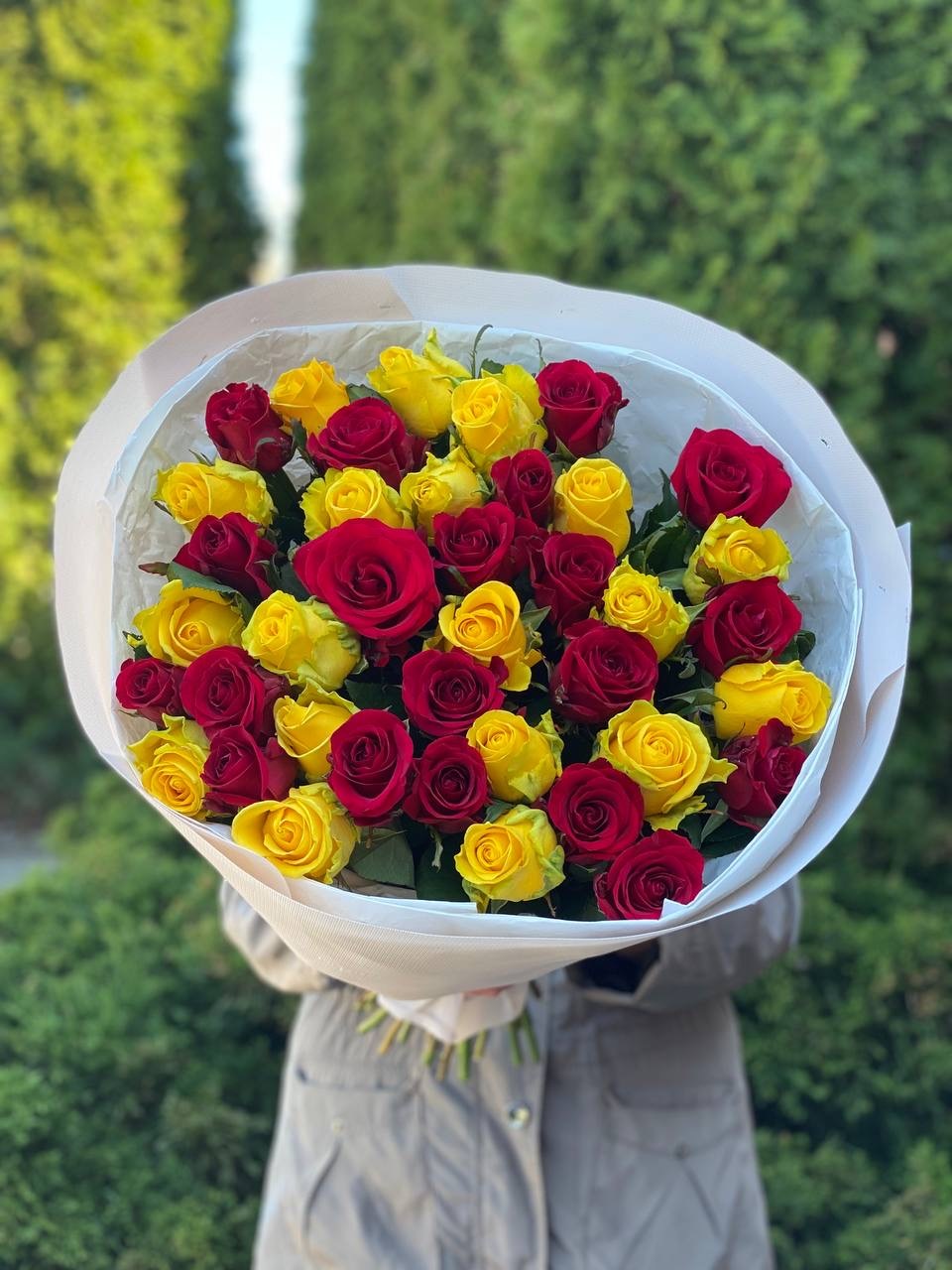 39 Rosen Penny Lane und Grand Prix