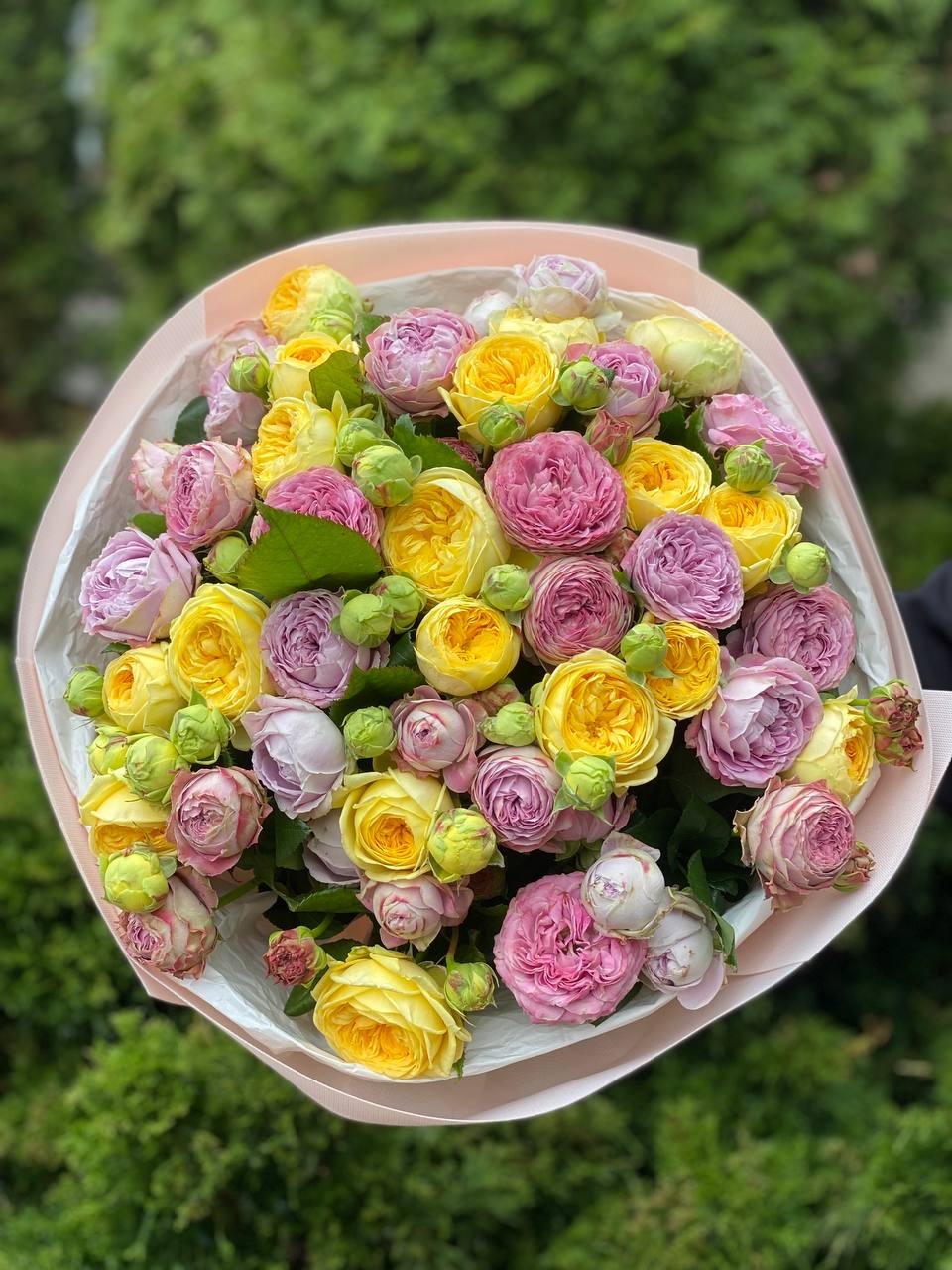 39 Rosen Lavender und Peony