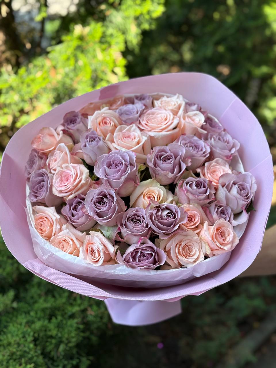 39 Rosen Kimberly und Violett