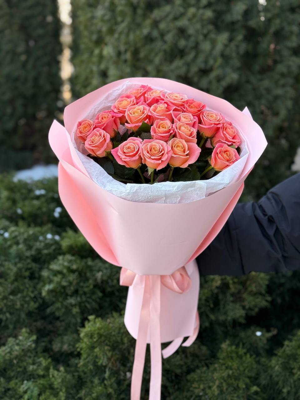 19 Rosen Miss Piggy