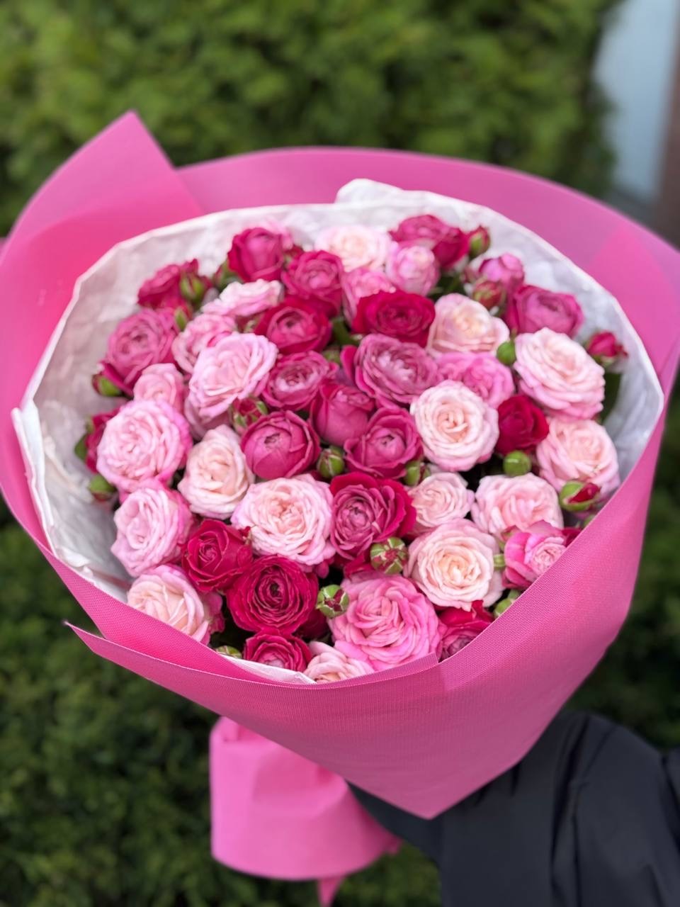 39 Rosen Lady Bombastic und Majestic