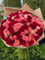101 Rosen Miss Piggy und Rot
