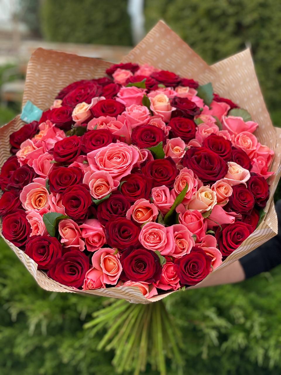 101 Rosen Miss Piggy und Rot