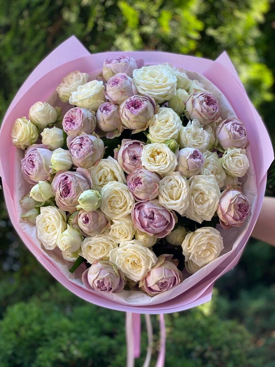 39 Rosen Miss Bombastic und Lavender