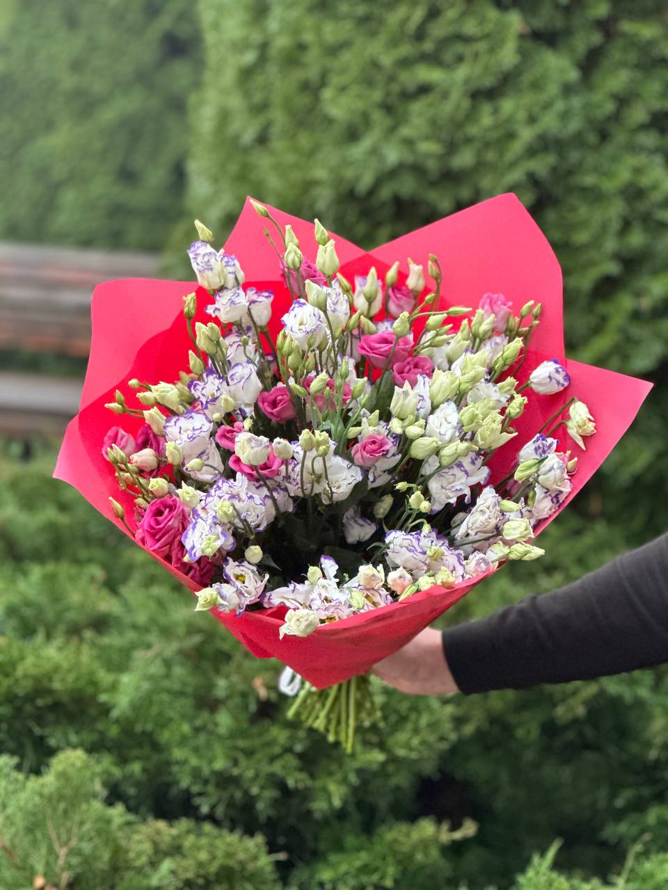 29 Stiele Eustoma (70 cm)