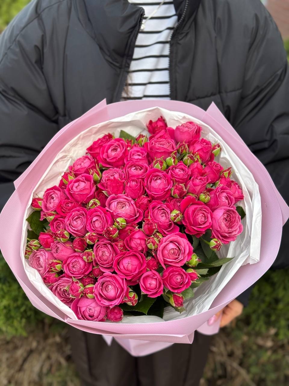 39 pfingstrosenartige Rosen Majestic