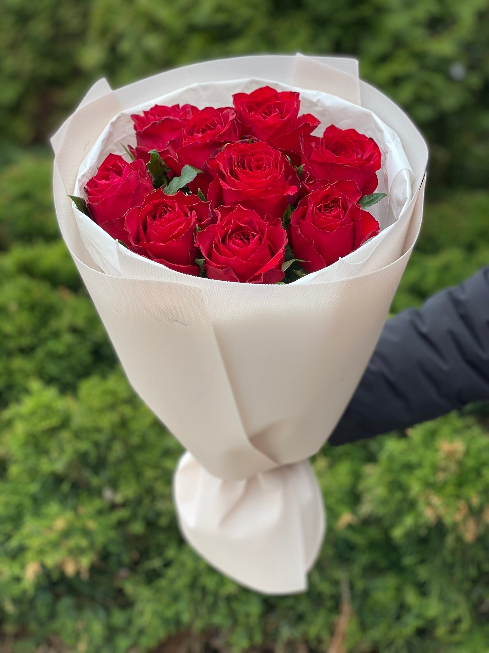 9 Stiele Rosen rot (50 cm)