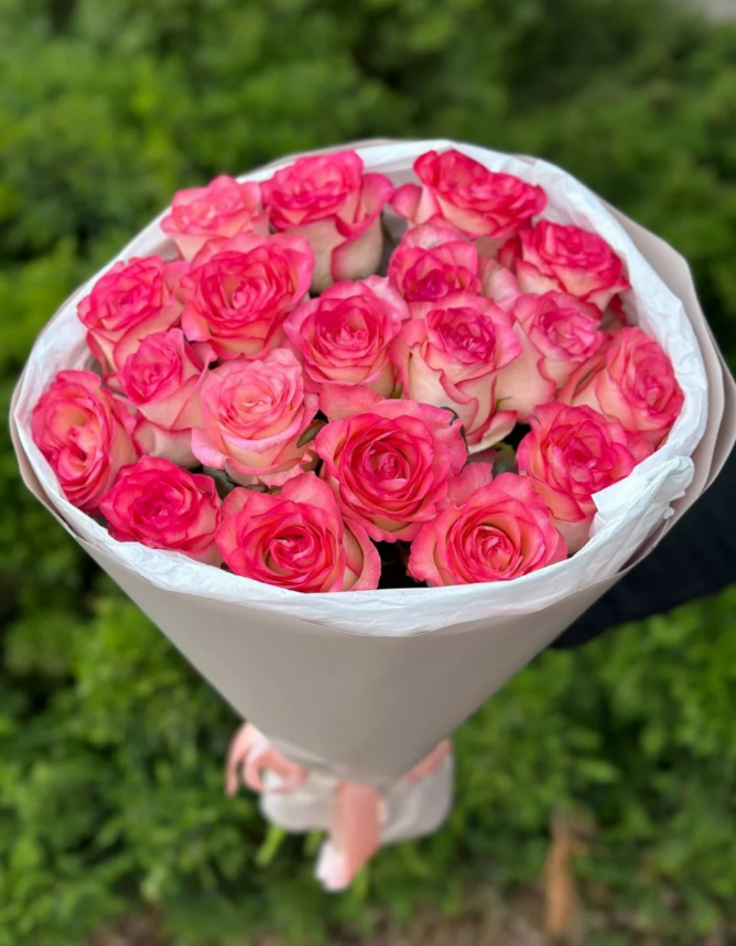 19 Rosen Jumilia