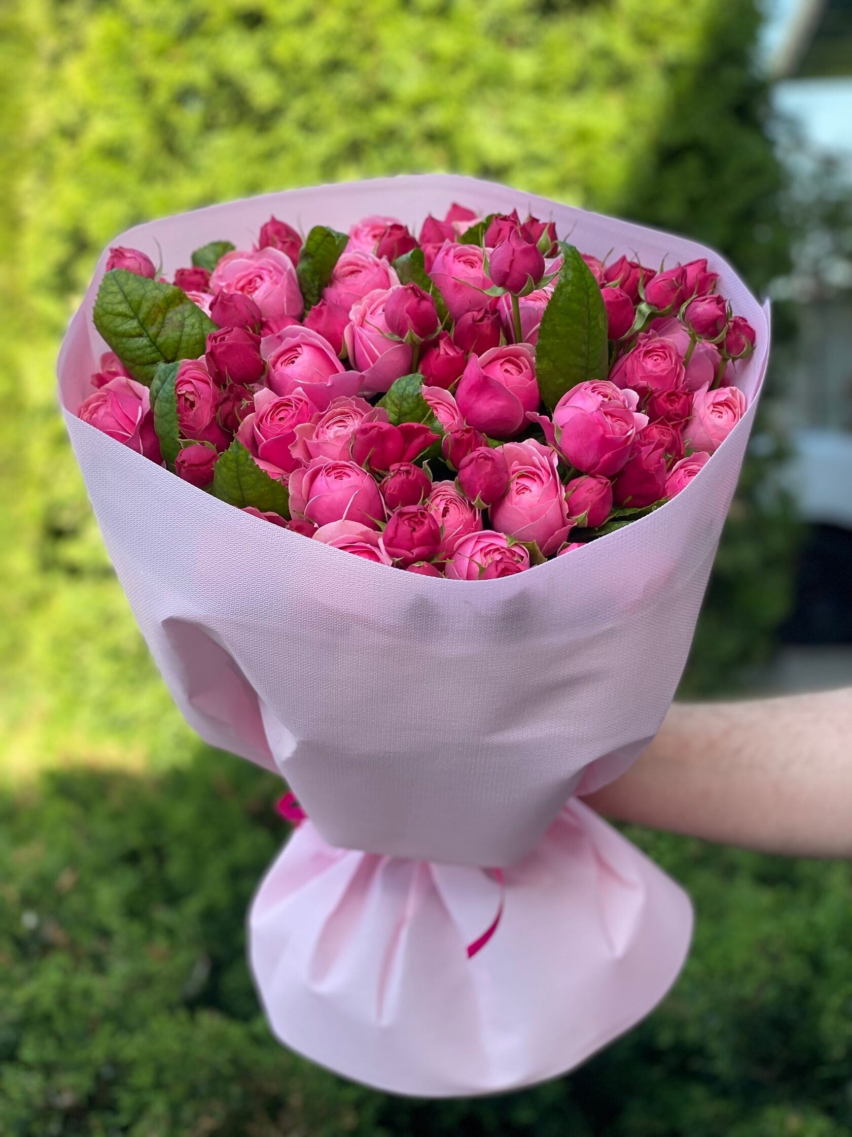 39 Rosen Light und Majestic