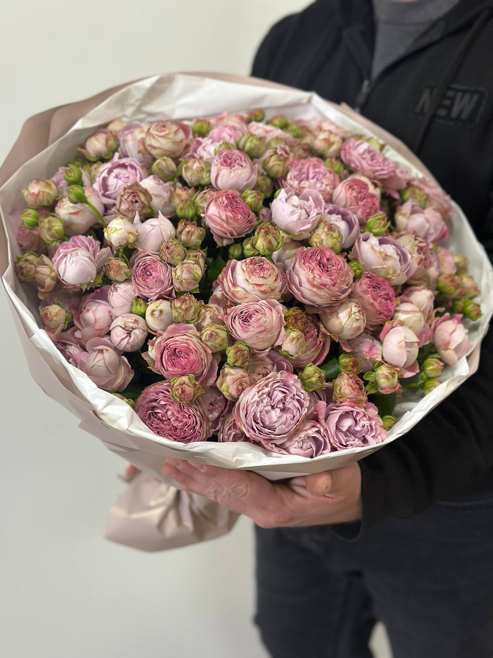 39 pfingstrosenartige Rosen Lavender