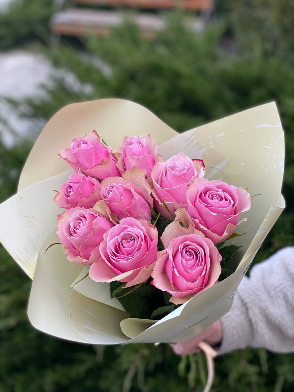 9 Stiele Rosen zartrosa (50 cm)