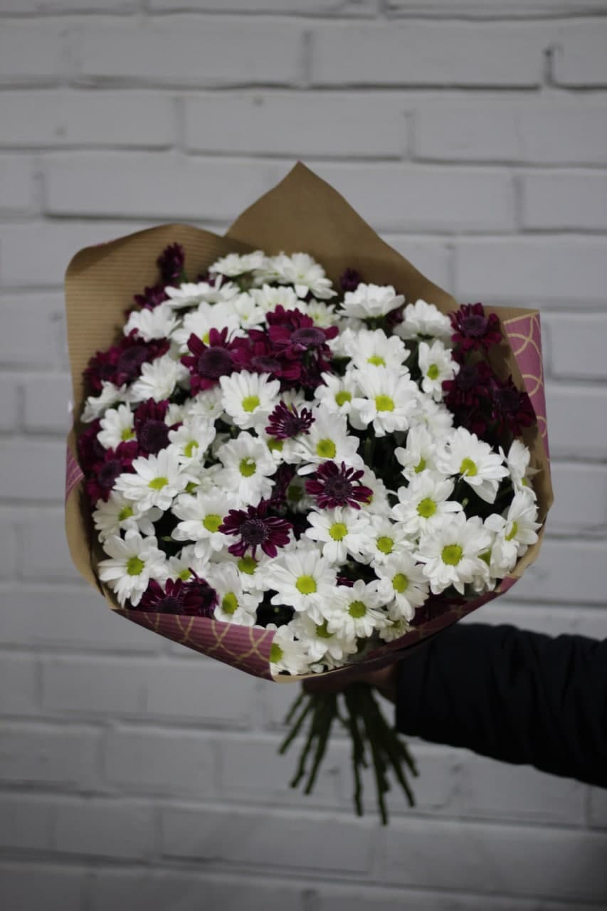 15 Margeriten-Chrysantheme (violett und weiß)