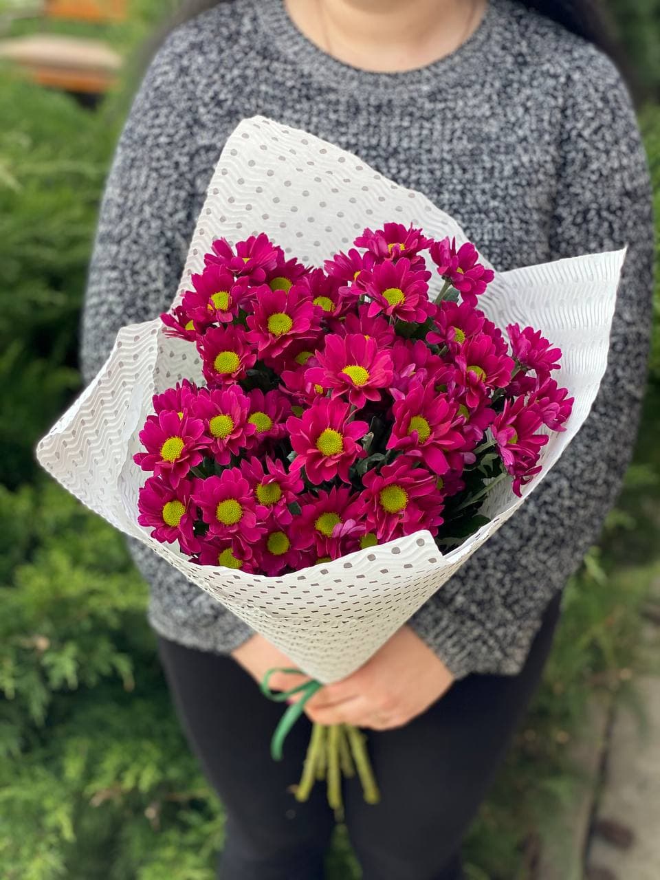 5 Margeriten-Chrysantheme (lila)