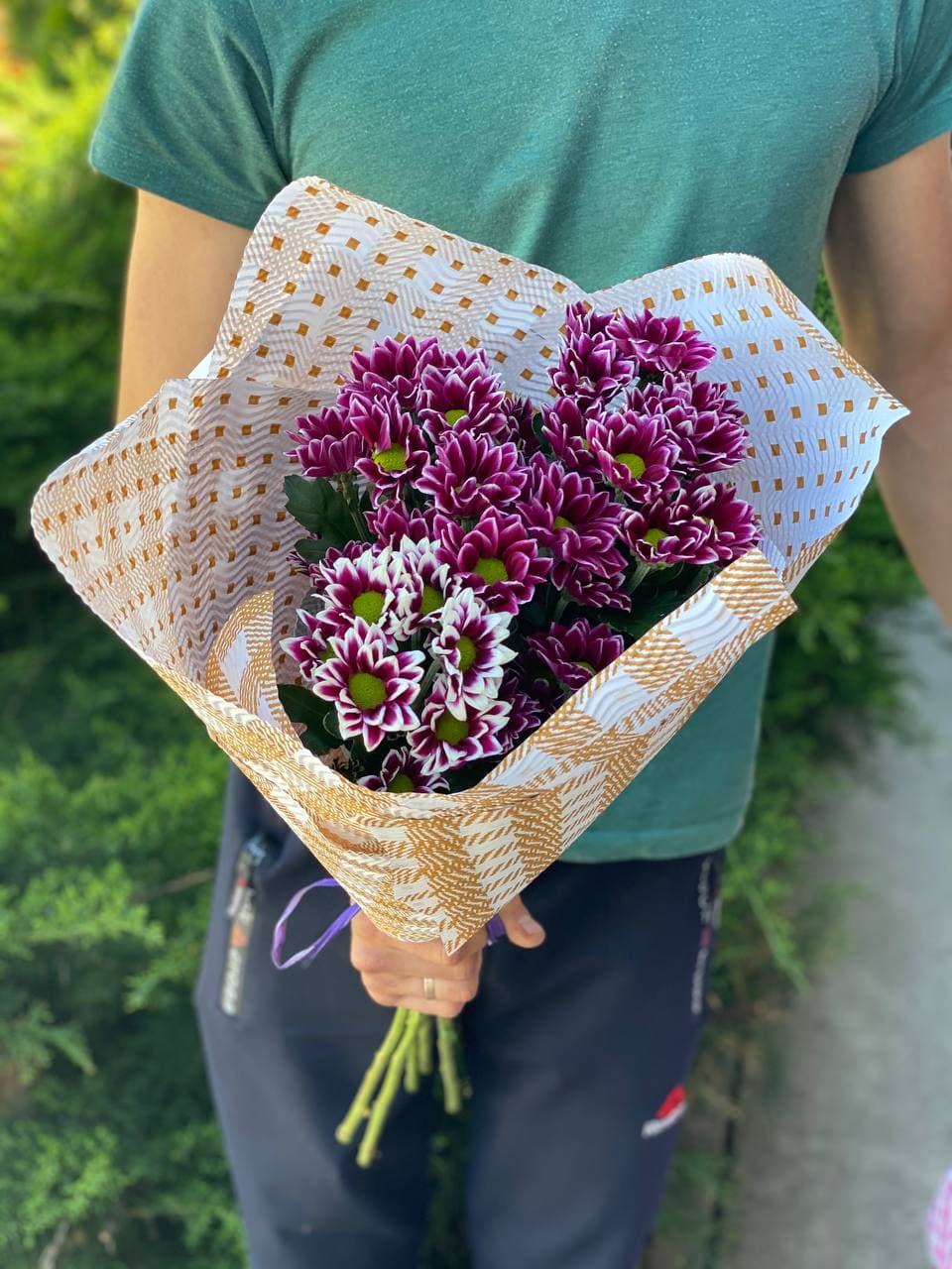 5 Margeriten-Chrysantheme (lila)