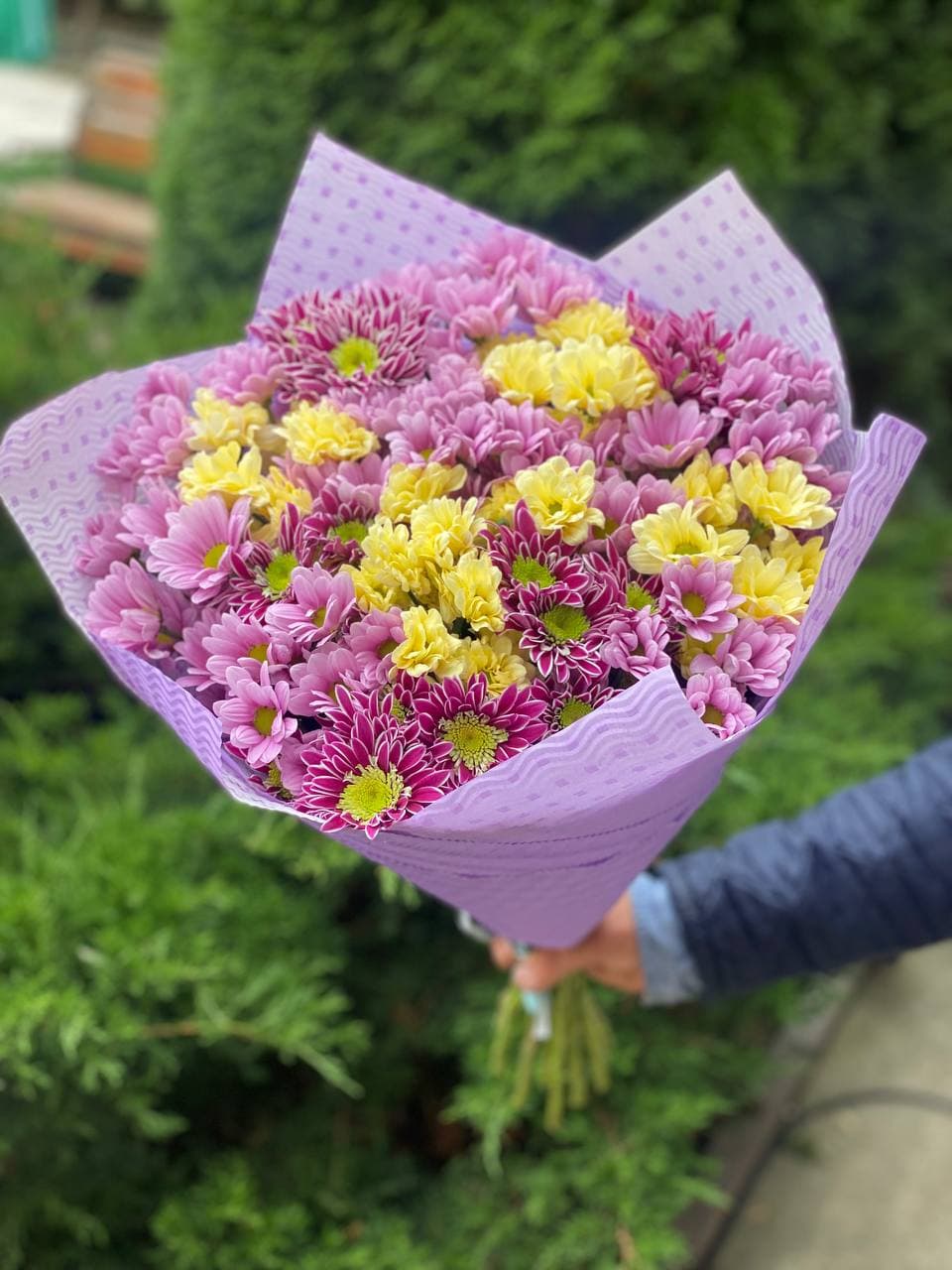 19 Stiele Chrysanthemen (gelb, rosa und violett)