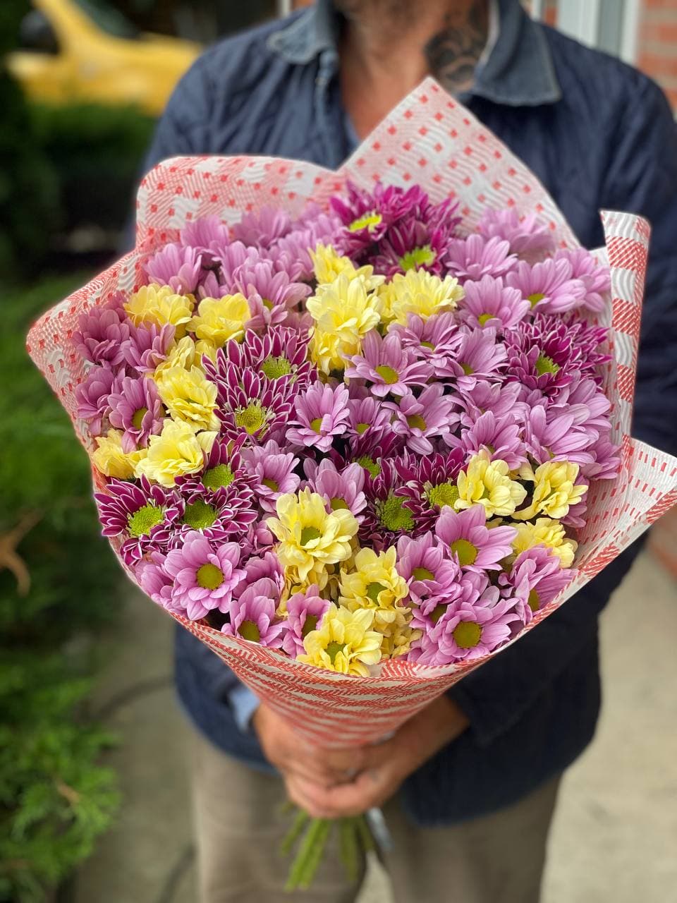 9 Margeriten-Chrysantheme (rosa, gelb und violett)